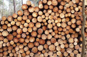 Log pile